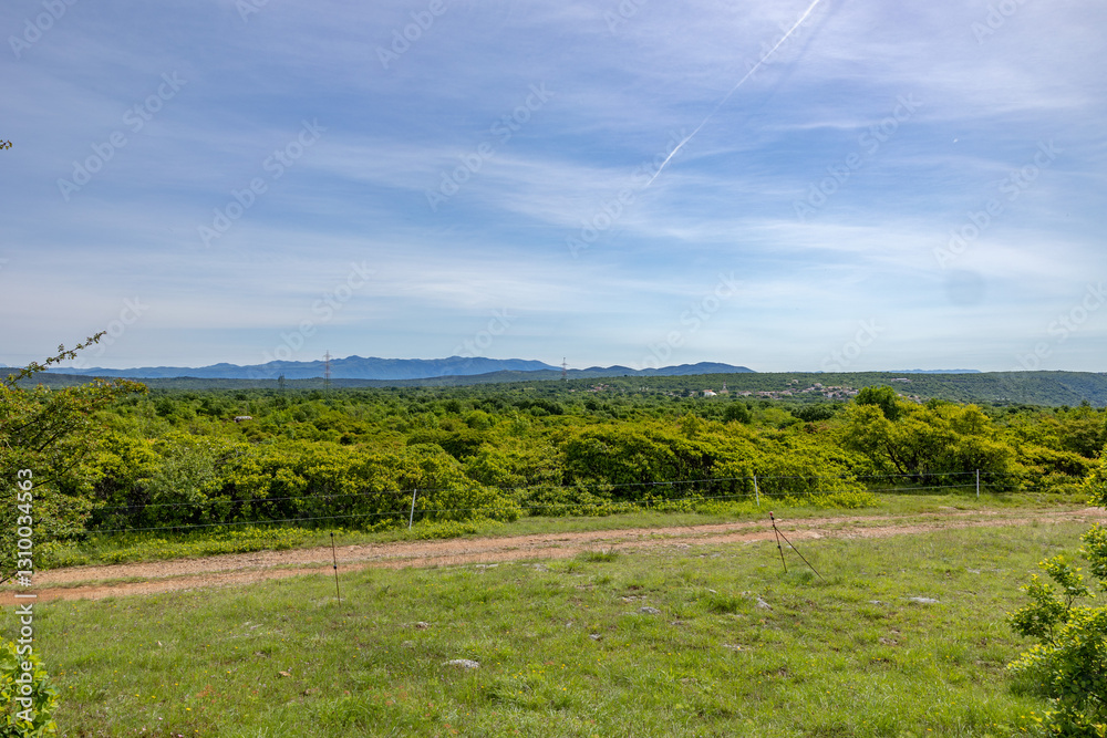 vista panoramica delle alture naturali del Carso Goriziano, sul confine con la Slovenia, nell'Italia nord-orientale, di giorno, in primavera