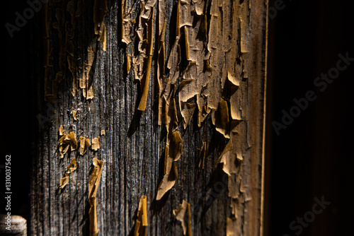 Obraz na płótnie Vista macro della superficie di una vecchia trave di legno con la pittura che si scrosta e viene via w salonie