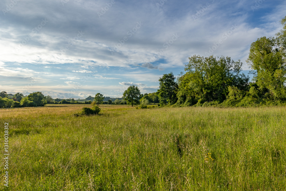 Fototapeta premium bellissimo ambiente naturale di campagna vicino a Gorizia, nell'Italia nord-orientale, con grandi campi e boschi verdi, di giorno, in estate