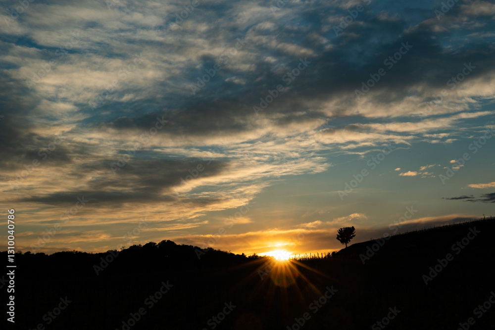 sagome nere di colline ed alberi in primo piano con cielo nuvoloso al tramonto, colorato di arancione