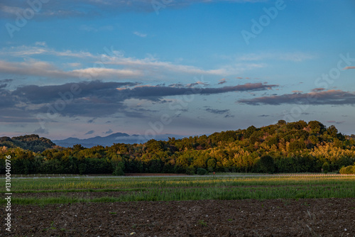 Obraz na płótnie vista su un ambiente naturale di campagna tra pianura e collina, in Friuli Venezia Giulia, nell'Italia nord-orientale, al tramonto, in estate, con cielo parzialmente nuvoloso w salonie