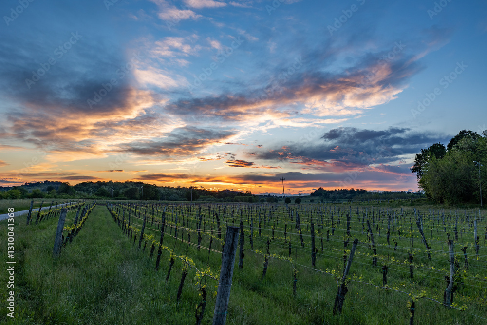 vista panoramica su un bellissimo tramonto con cielo nuvoloso nelle campagne in pianura vicino a Gorizia, nell'Italia nord-orientale, in primavera