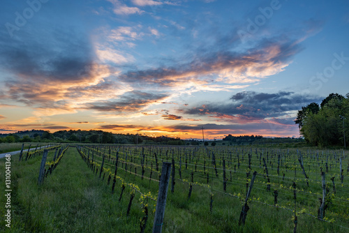 Obraz na płótnie vista panoramica su un bellissimo tramonto con cielo nuvoloso nelle campagne in pianura vicino a Gorizia, nell'Italia nord-orientale, in primavera w salonie