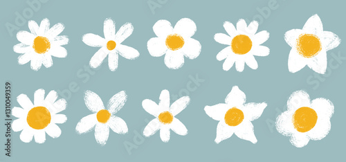 Set Of Daisy Hand Drawn Chamomile. Grunge In White Chamomile Icon. Cute Round Flower Head Plant. Different Shape. Template Love Card Symbol. Vector Brush Stroke Flowers