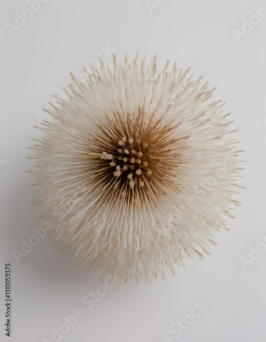 A spherical object with a white, speckled, circular pattern on its surface.