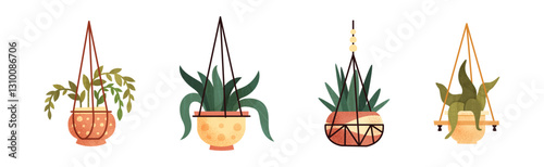 Houseplant Growing in Ceramic Pot as House Interior Object Vector Set