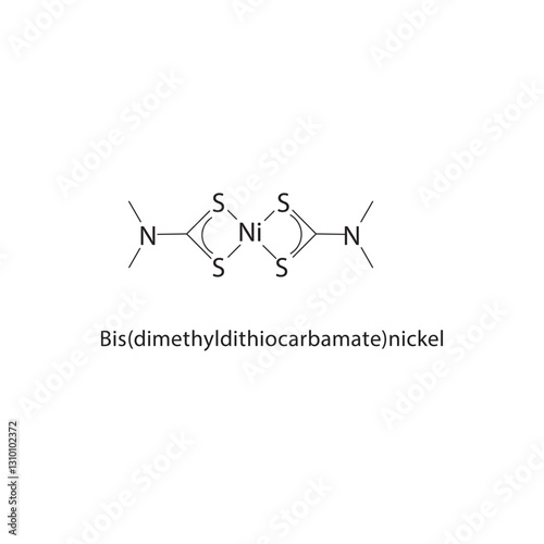 Bis(dimethyldithiocarbamate)- nickel skeletal structure .Metal complex compound schematic illustration. Simple diagram, chemical formula.