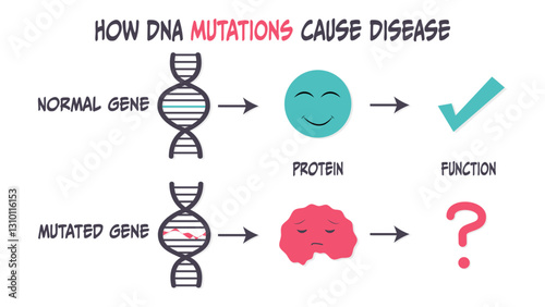 How DNA mutations cause protein disruption downstream often resulting in disease