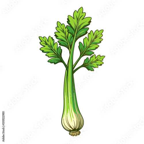 Fresh celery stalk with leafy green tops in a vibrant hand-drawn botanical food illustration