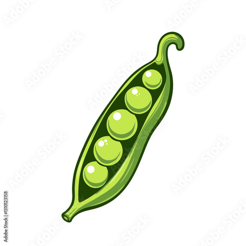 Green pea pod with round peas inside in a hand-drawn botanical-style food illustration