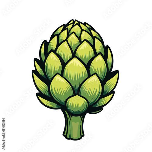 Fresh green artichoke with layered leaves in a botanical hand-drawn food illustration style