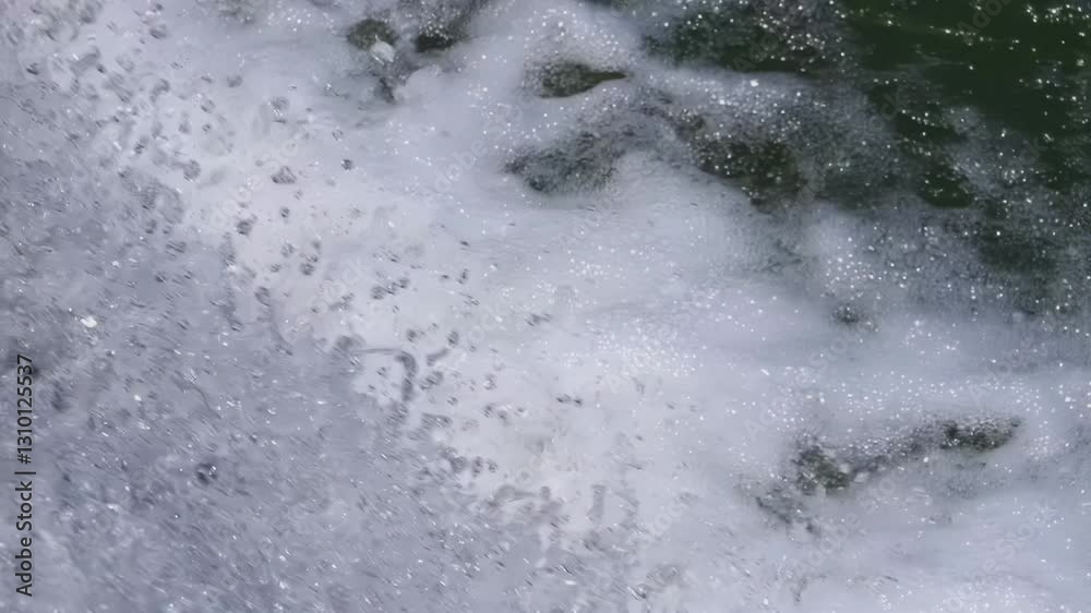 Andalusian barbel (Luciobarbus sclateri) jumping in a waterfall in slow motion, spring migration Andalusian barbel (Luciobarbus sclateri) jumping in a waterfall in slow motion, spring migration