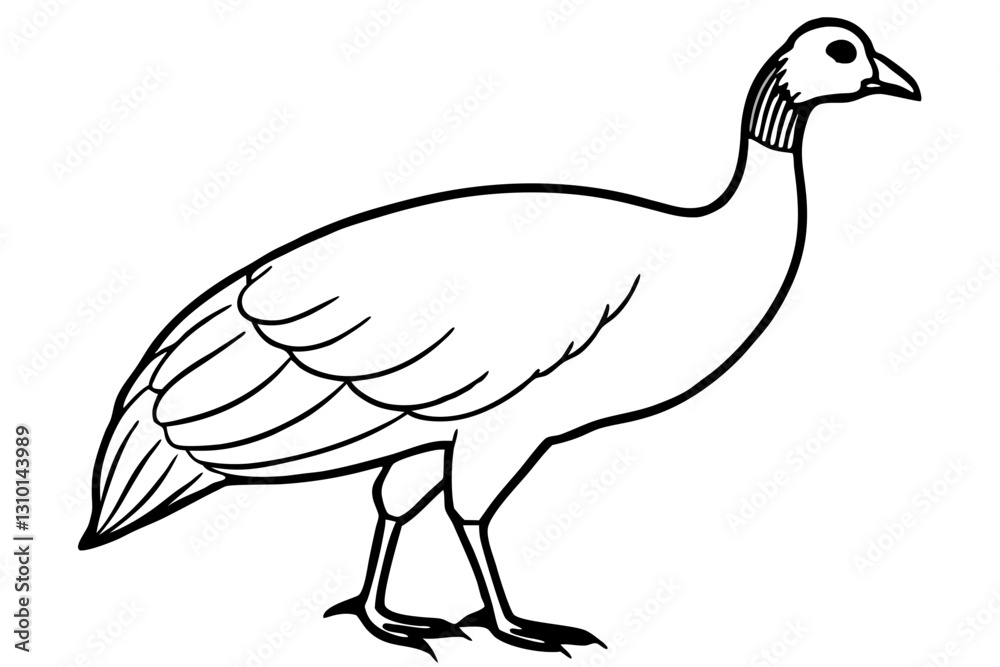 Fototapeta premium guineafowl silhouette line art vector illustration with a white background