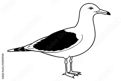 gull silhouette line art vector illustration with a white background