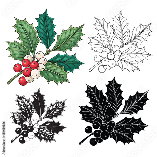 vector illustration of berries