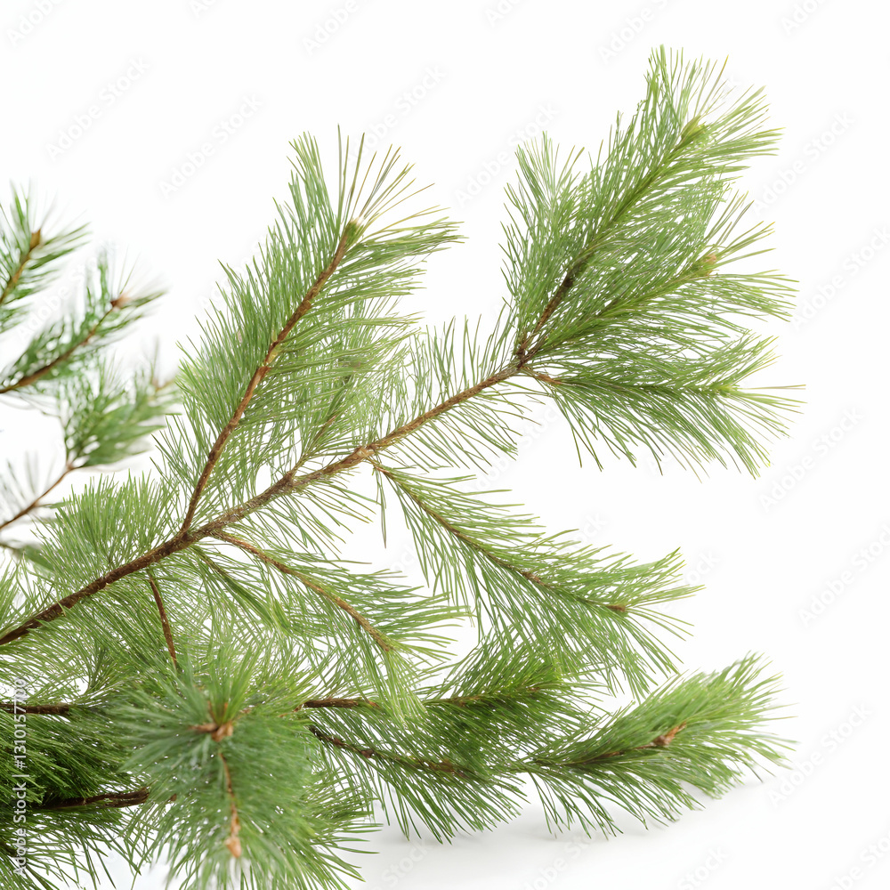 Fototapeta premium Christmas decor on the white surface.