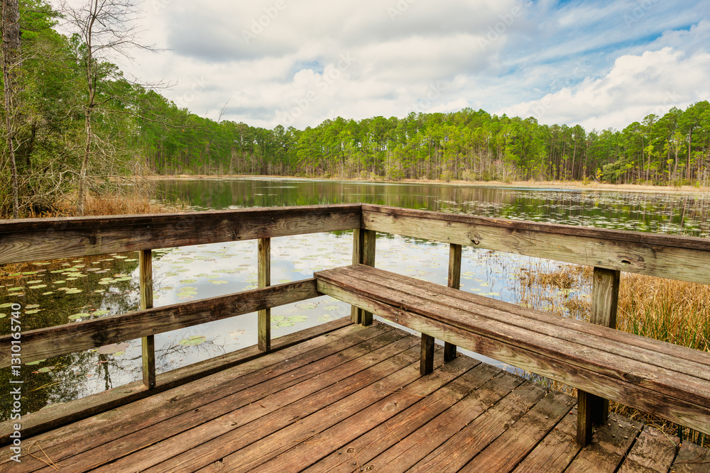Obraz premium Wood dock by pond with lilly pads