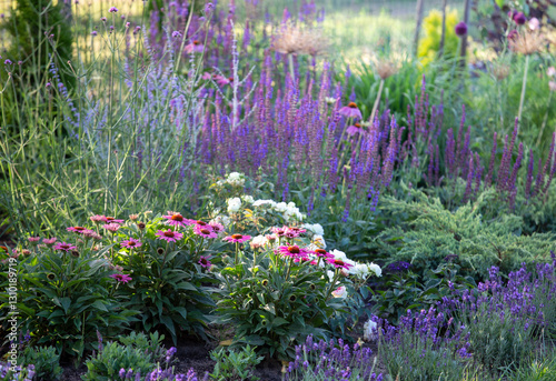 Wallpaper Mural Summer garden background, banner. Ornamental garlic and butterfly Torontodigital.ca