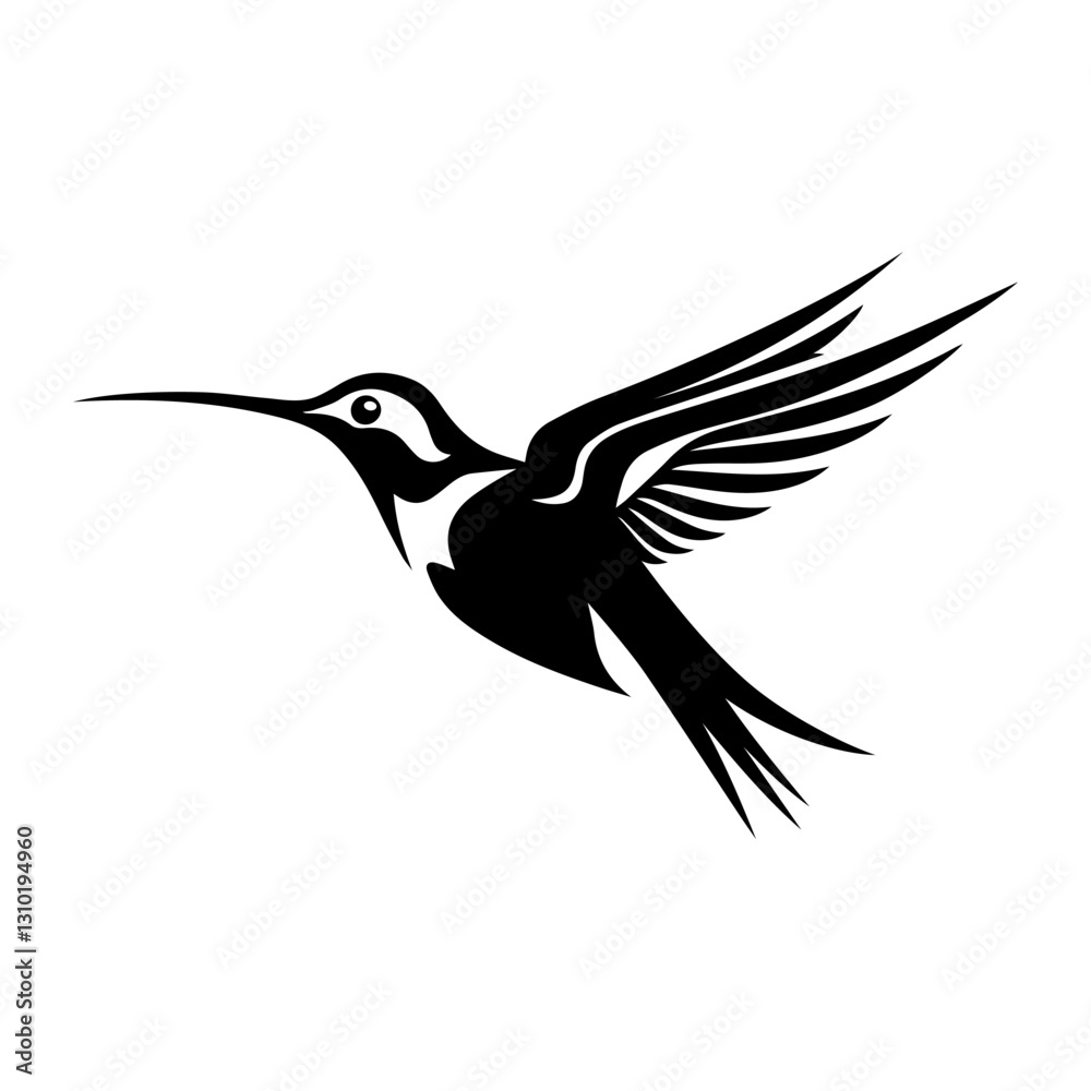 Obraz premium Hummingbird bird on white background.Elements for design.