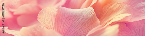 Beautiful Pink Flower Petals for Fresh and Elegant Decor
