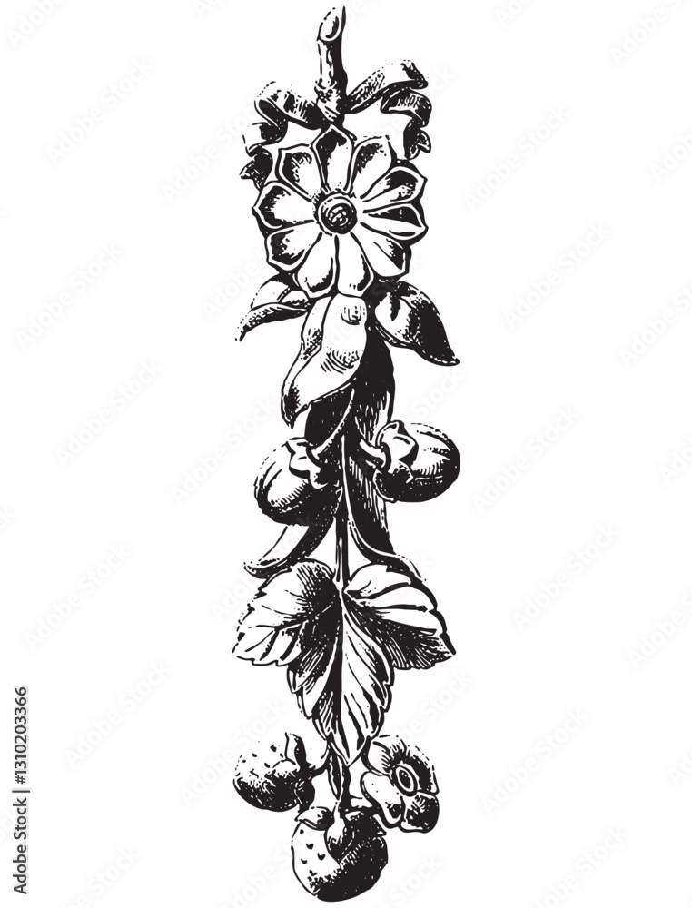 Vintage engraving of bunch of berries and flowers