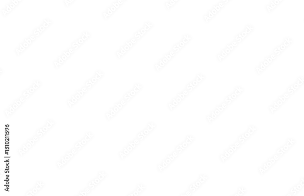 Fototapeta premium spider web no background