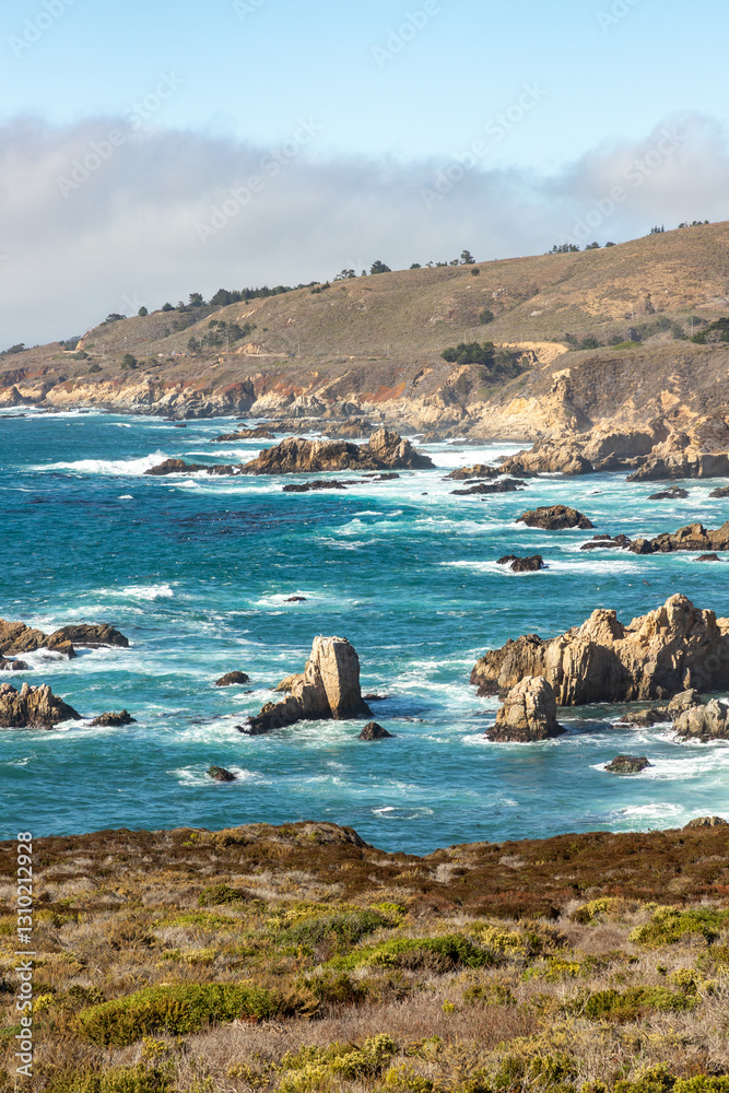 Obraz premium Coast trail with vegetation and mountains