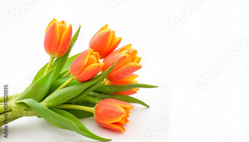 Bouquet of orange tulips on white background
