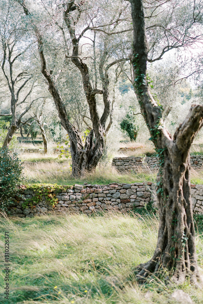 Ancient stone fences are arranged in tiers in a green park Ancient stone fences are arranged in tiers in a green park