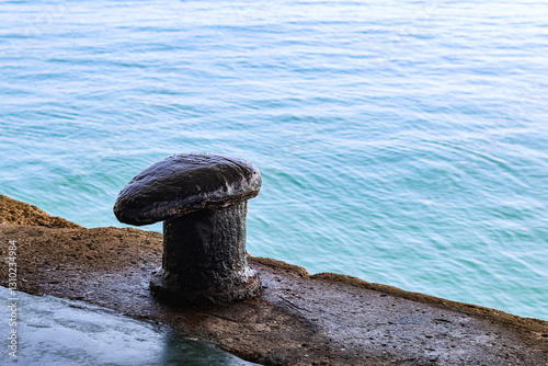 Iron mooring for large tonnage ships at the dock of a port.