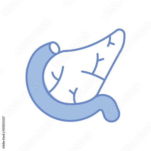 Pancreas vector icon