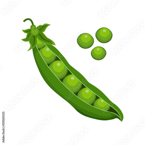 Green pea plant without background