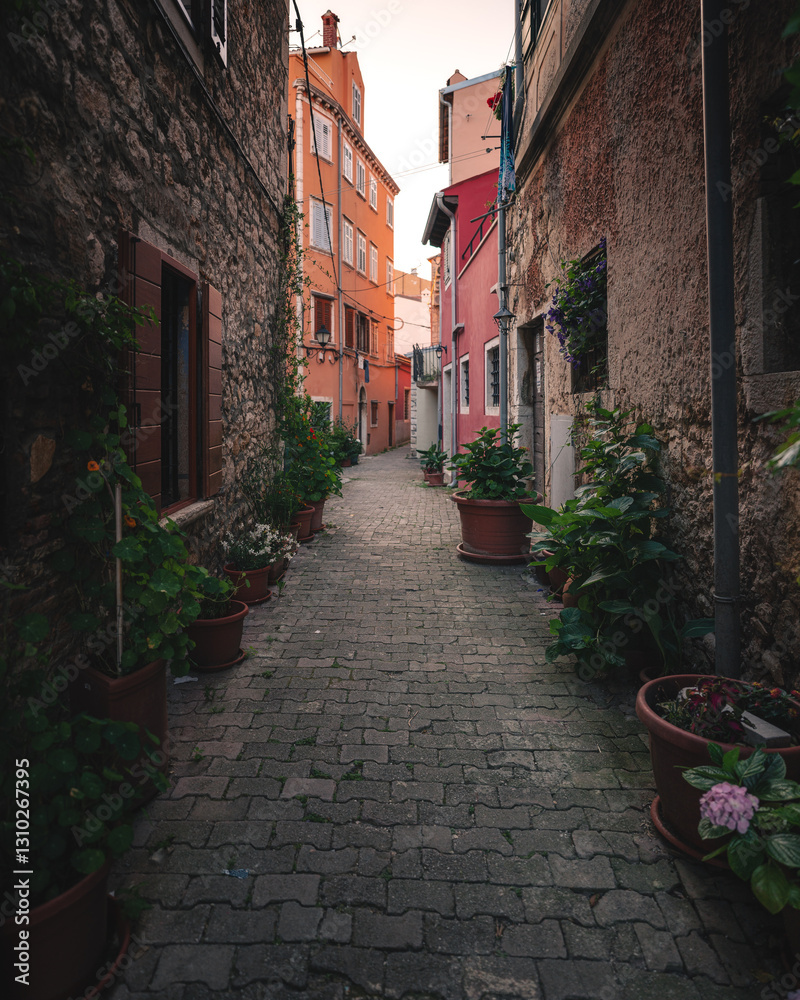 Narrow streets in the old town of Rovinj, Croatia