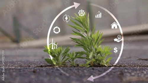 Green Technology and Circular Economy Closing the Loop for Sustainability.Circular Economy .