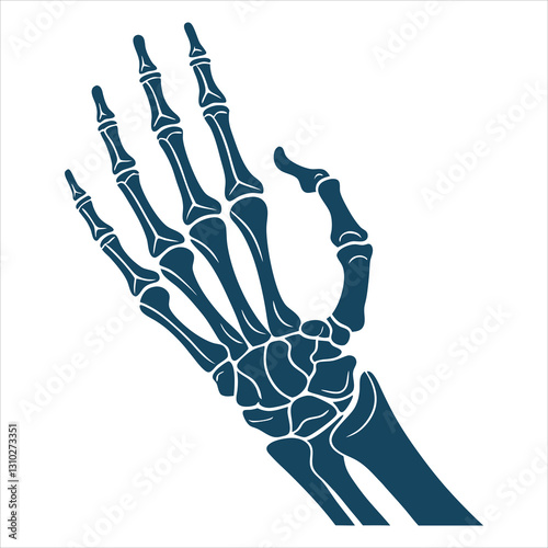 silhouette x - ray on white background