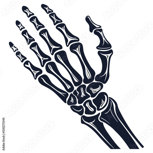 silhouette x - ray on white background