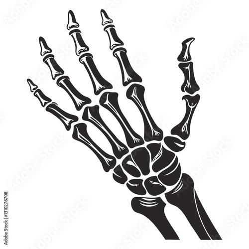 silhouette x - ray on white background
