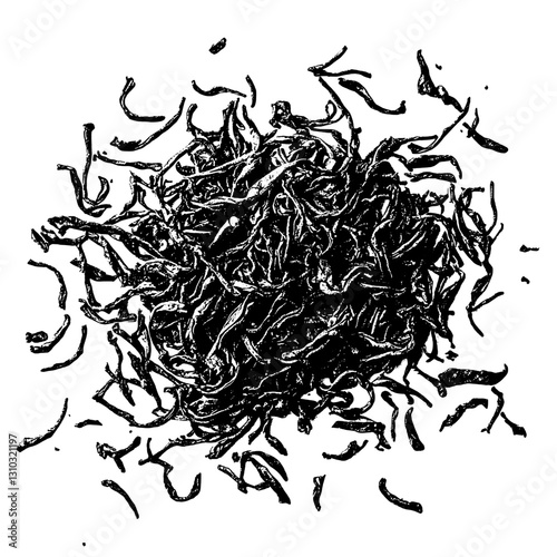 Engraved vector illustration of finely detailed tea leaves for unique tattoo and packaging design inspiration