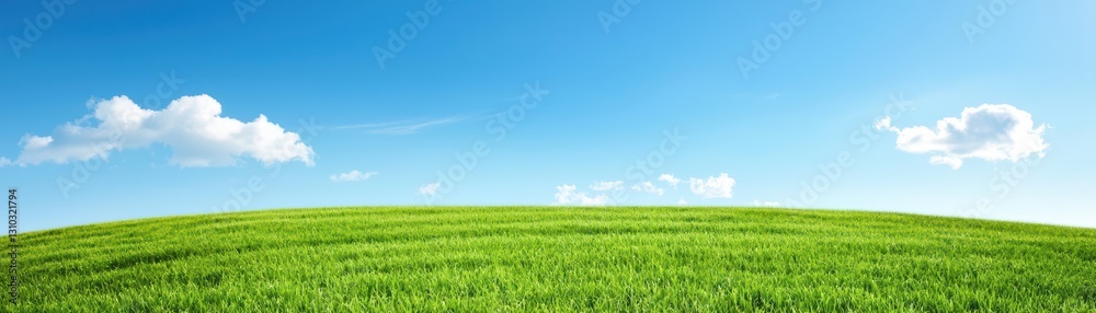 Obraz premium Lush Green Field Under Clear Blue Sky with Soft White Clouds and Brilliant Sunshine