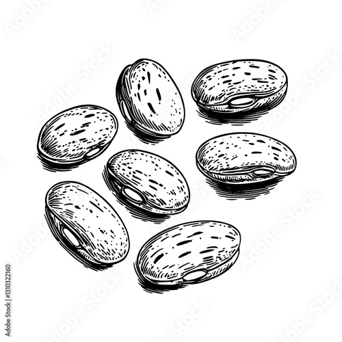Engraved illustration of various seeds highlighting intricate details for tattoo and packaging design inspirations