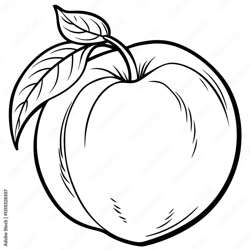 Detailed illustration of a ripe apple with a leaf on a white background Detailed illustration of a ripe apple with a leaf on a white background