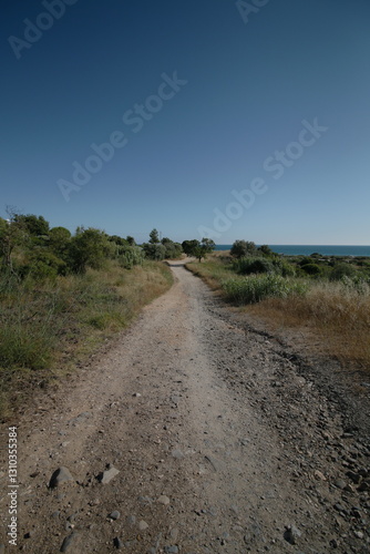 Rugged Dirt Path Through the Brush