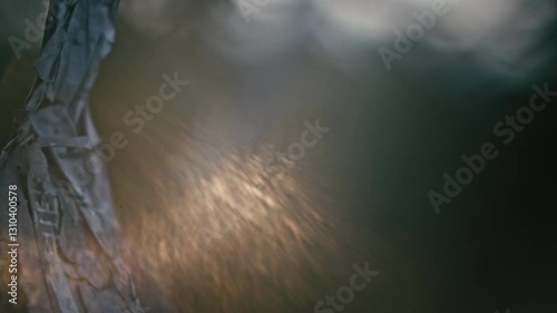 Cinematic garbage in nature