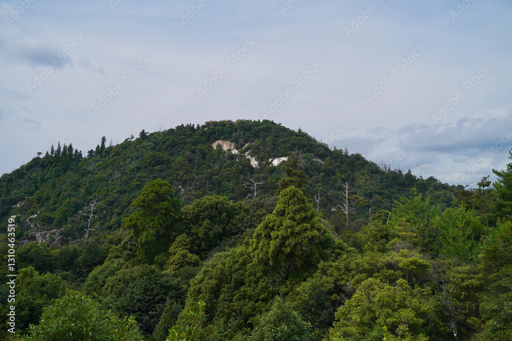 日本の厳島神社のある広島県宮島の山、弥山みせん 日本の厳島神社のある広島県宮島の山、弥山みせん