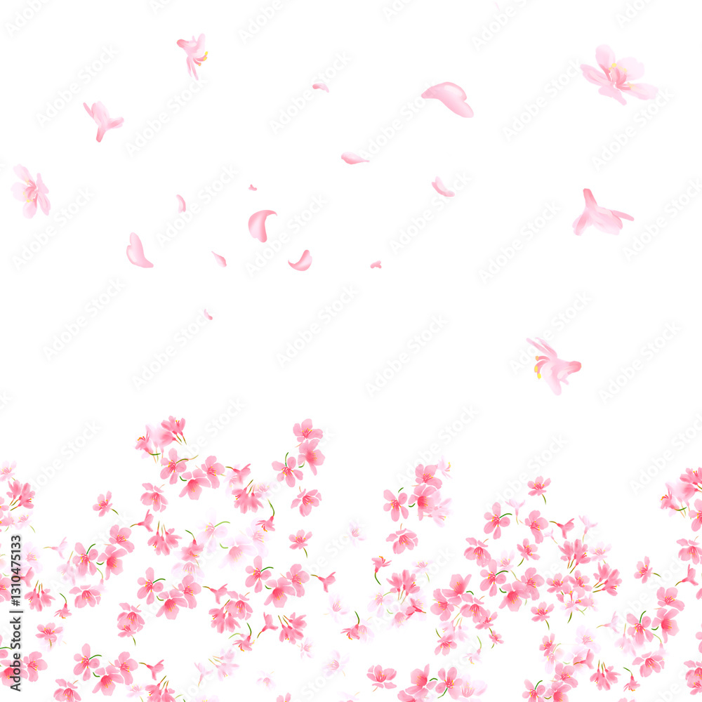 Sakura on white background. Digital cherry tree. Cherry blossom flower blooming. Pink sakura flower background. Beautiful sakura flower petals flying on white background. Flowers for wedding. Sakura on white background. Digital cherry tree. Cherry blossom flower blooming. Pink sakura flower background. Beautiful sakura flower petals flying on white background. Flowers for wedding.