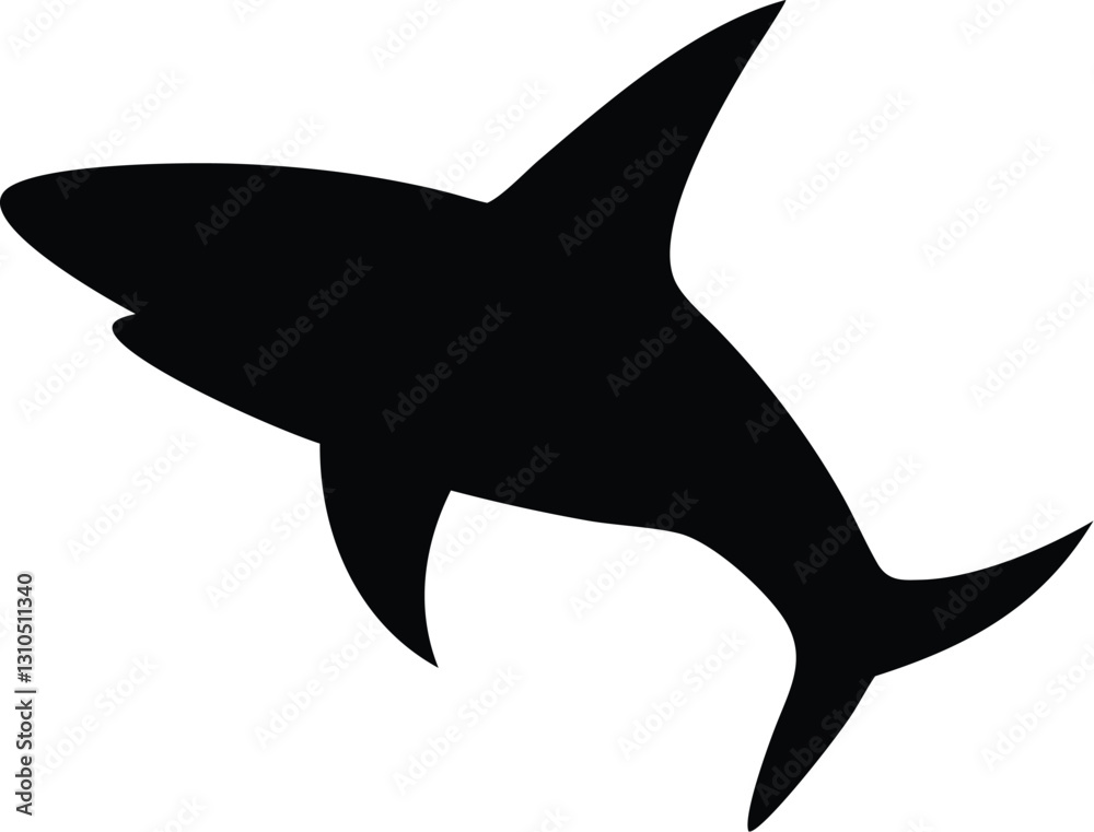 vector illustration of a shark vector illustration of a shark