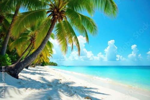 Palm trees sway on Fort Lauderdale s white sand beach   coastal  sand  palm trees