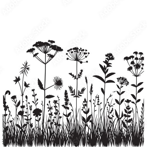Detailed Silhouette Vector Illustration of Meadow Wildflower Collection