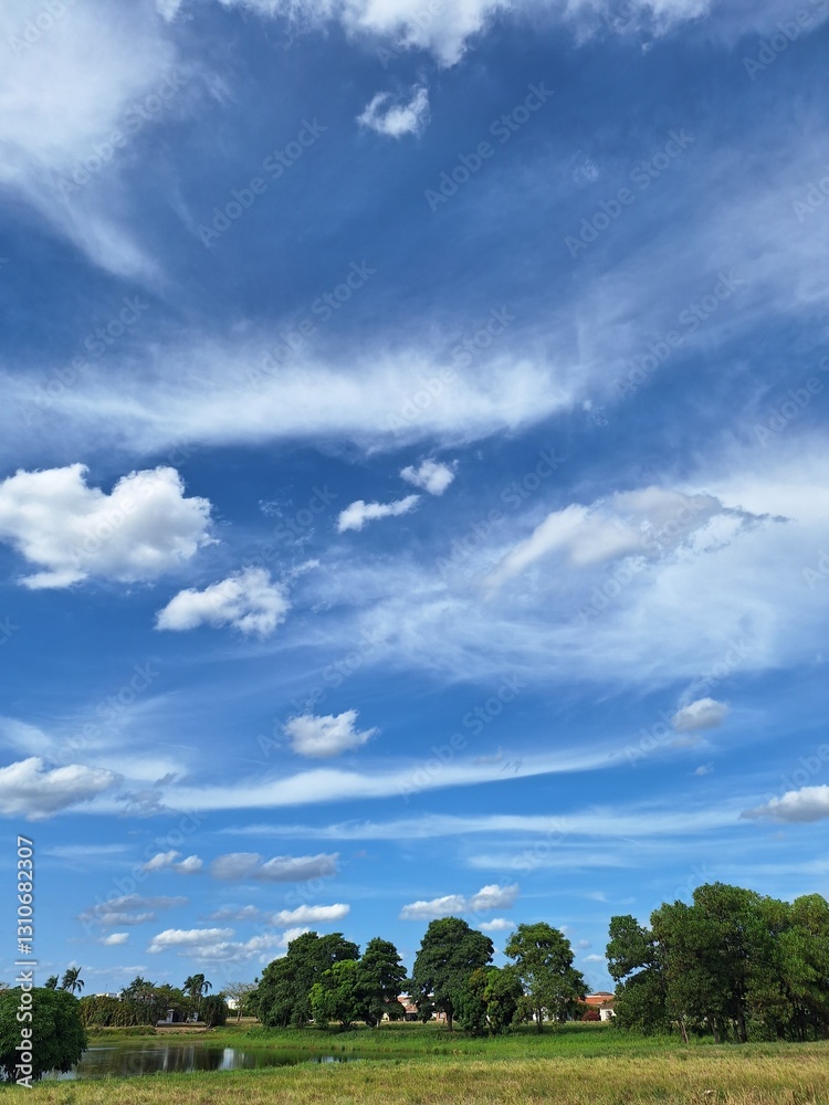Natural landscape with trees, grass, and sky. Natural landscape with trees, grass, and sky.