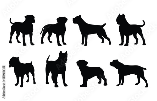 cane Corso dog silhouette vector design photo